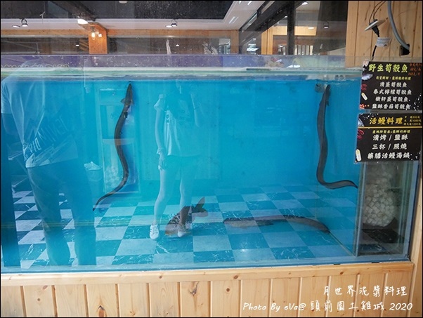 頭前園土雞城-07.jpg 頭前園土雞城-07.jpg