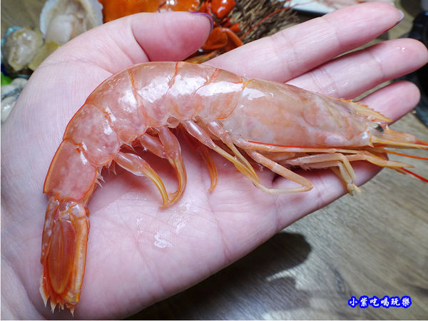 天使紅蝦-2020澤鍋物 (2).jpg