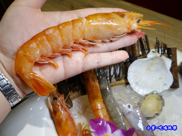 天使紅蝦-澤鍋物.jpg