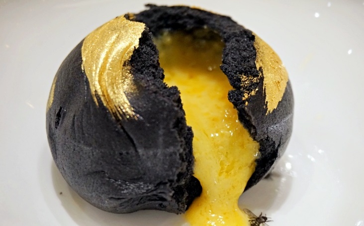 1561039302-df7046b7c11ceaa5ca8114c398b89b27