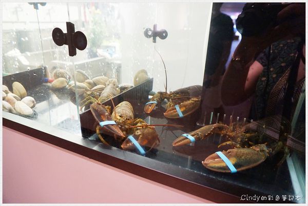 DSC05881.JPG DSC05881.JPG