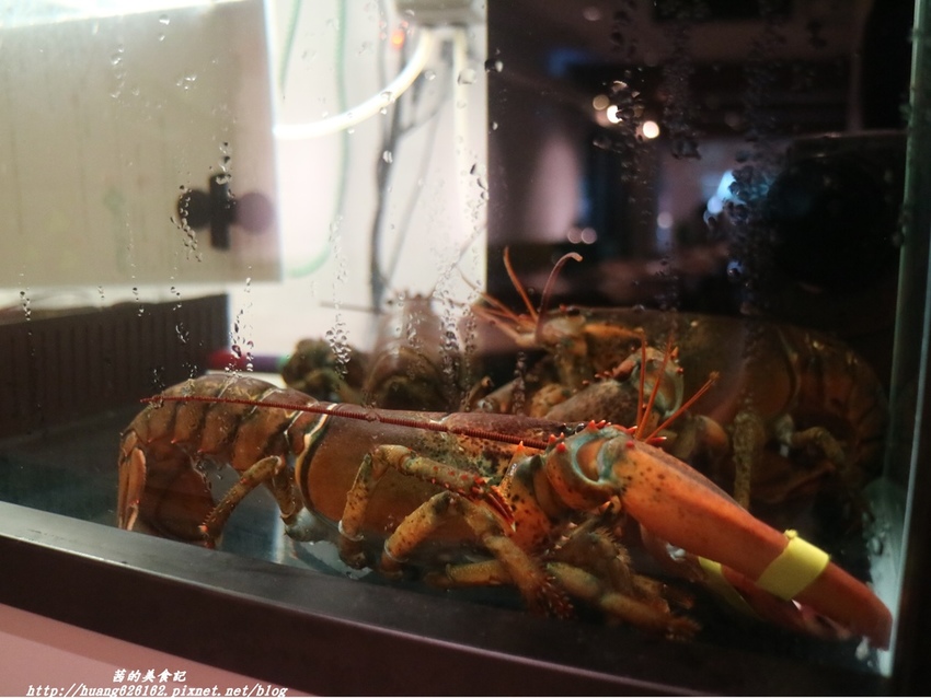 IMG_7661.JPG IMG_7661.JPG