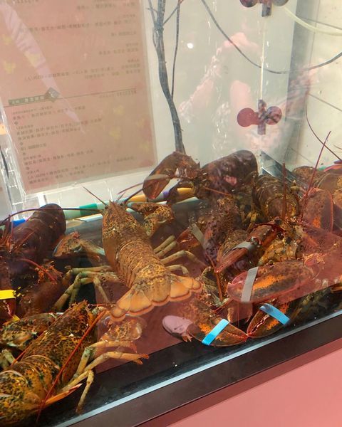 【汆食作伙鍋】中山質感設計風火鍋