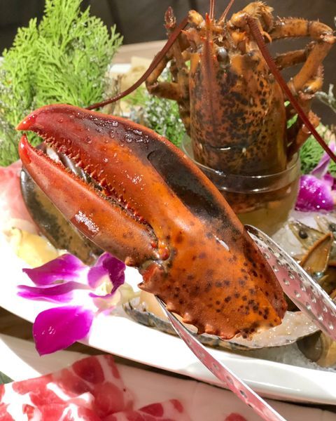 【汆食作伙鍋】中山質感設計風火鍋