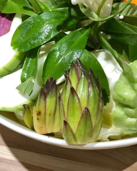 【汆食作伙鍋】中山質感設計風火鍋