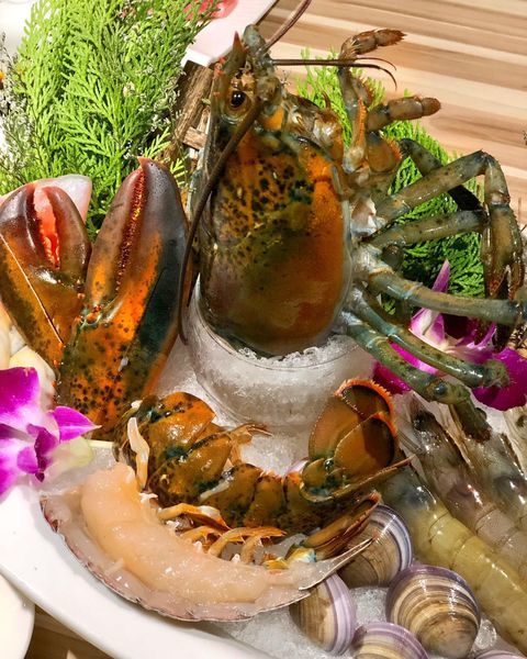 【汆食作伙鍋】中山質感設計風火鍋