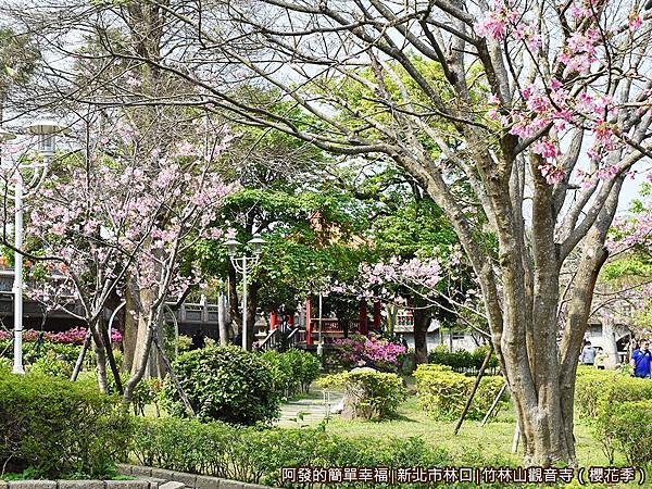 竹林山觀音寺22-綠意盎然櫻花點點.JPG