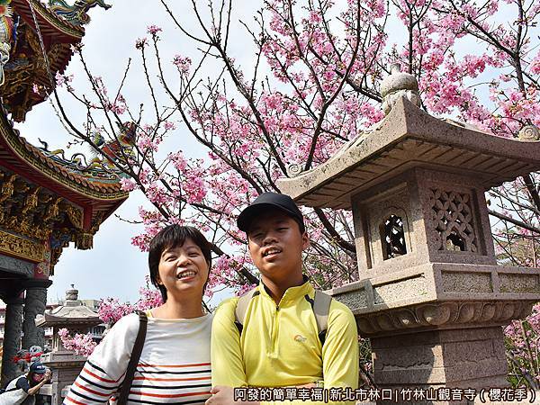 竹林山觀音寺08-石燈與盛開的櫻花.JPG