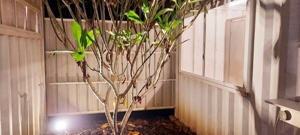 旅遊 ░ 南部豪華型帳篷露營 - The Tale Of Butterfly 蝶舞澗 一泊二食, 有趣的第一次豪華型露營體驗 旅遊 ░ 南部豪華型帳篷露營 - The Tale Of Butterfly 蝶舞澗 一泊二食, 有趣的第一次豪華型露營體驗