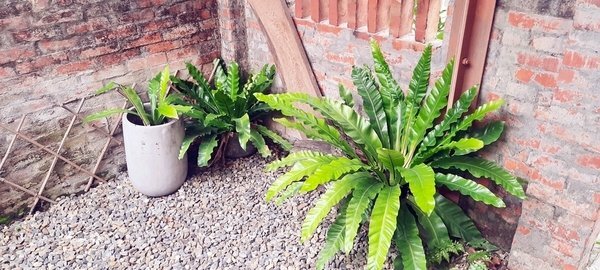 旅遊 ░ 南部豪華型帳篷露營 - The Tale Of Butterfly 蝶舞澗 一泊二食, 有趣的第一次豪華型露營體驗 旅遊 ░ 南部豪華型帳篷露營 - The Tale Of Butterfly 蝶舞澗 一泊二食, 有趣的第一次豪華型露營體驗