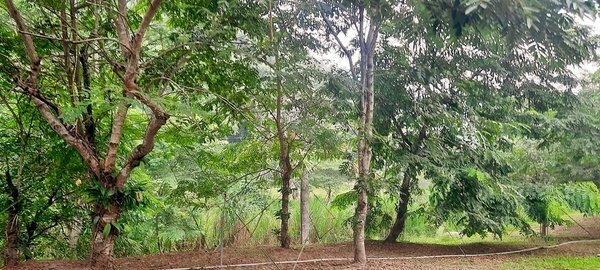 旅遊 ░ 南部豪華型帳篷露營 - The Tale Of Butterfly 蝶舞澗 一泊二食, 有趣的第一次豪華型露營體驗 旅遊 ░ 南部豪華型帳篷露營 - The Tale Of Butterfly 蝶舞澗 一泊二食, 有趣的第一次豪華型露營體驗
