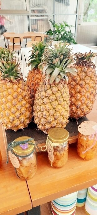 旅遊 ░ 南部豪華型帳篷露營 - The Tale Of Butterfly 蝶舞澗 一泊二食, 有趣的第一次豪華型露營體驗 旅遊 ░ 南部豪華型帳篷露營 - The Tale Of Butterfly 蝶舞澗 一泊二食, 有趣的第一次豪華型露營體驗