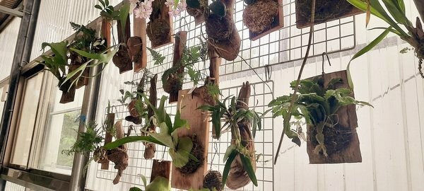 旅遊 ░ 南部豪華型帳篷露營 - The Tale Of Butterfly 蝶舞澗 一泊二食, 有趣的第一次豪華型露營體驗 旅遊 ░ 南部豪華型帳篷露營 - The Tale Of Butterfly 蝶舞澗 一泊二食, 有趣的第一次豪華型露營體驗