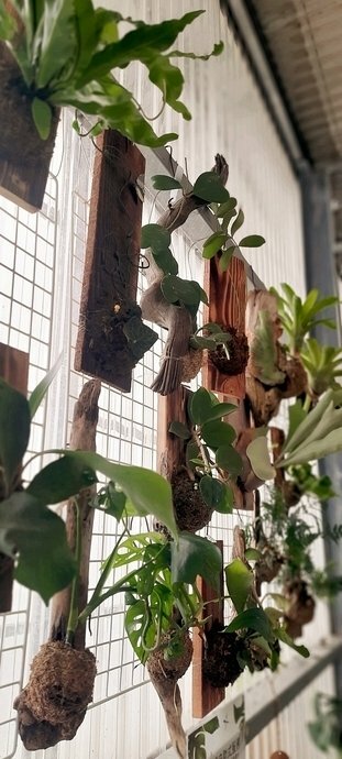 旅遊 ░ 南部豪華型帳篷露營 - The Tale Of Butterfly 蝶舞澗 一泊二食, 有趣的第一次豪華型露營體驗 旅遊 ░ 南部豪華型帳篷露營 - The Tale Of Butterfly 蝶舞澗 一泊二食, 有趣的第一次豪華型露營體驗