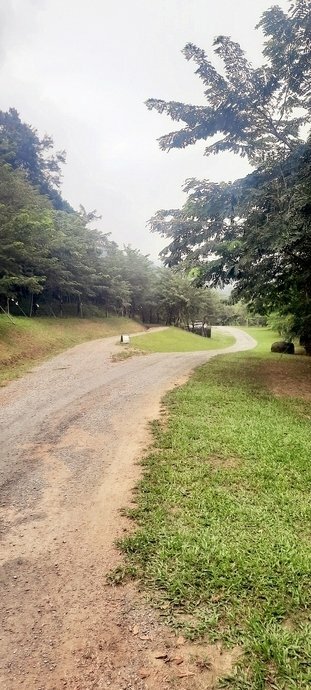 旅遊 ░ 南部豪華型帳篷露營 - The Tale Of Butterfly 蝶舞澗 一泊二食, 有趣的第一次豪華型露營體驗 旅遊 ░ 南部豪華型帳篷露營 - The Tale Of Butterfly 蝶舞澗 一泊二食, 有趣的第一次豪華型露營體驗