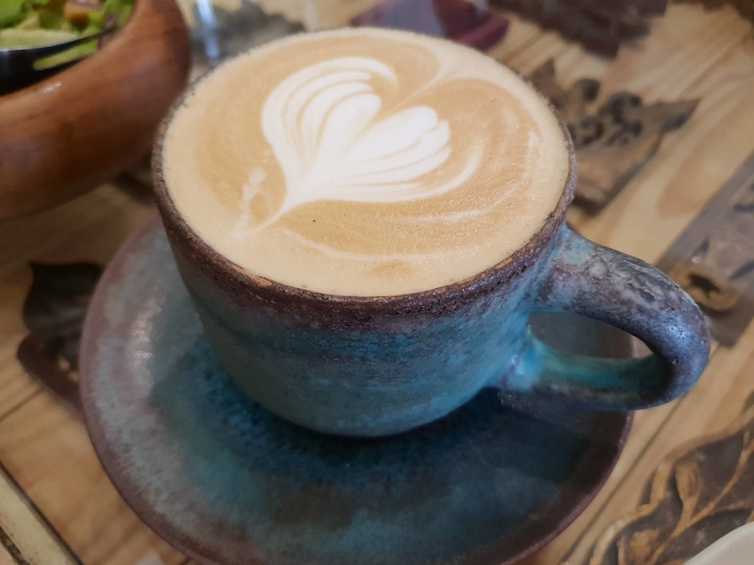 【花蓮.市區】寵物友善早午餐實季。食記。Seedson Coffee早午餐。推培茶拿鐵+蘋果鮪魚三明治+堅果沙拉