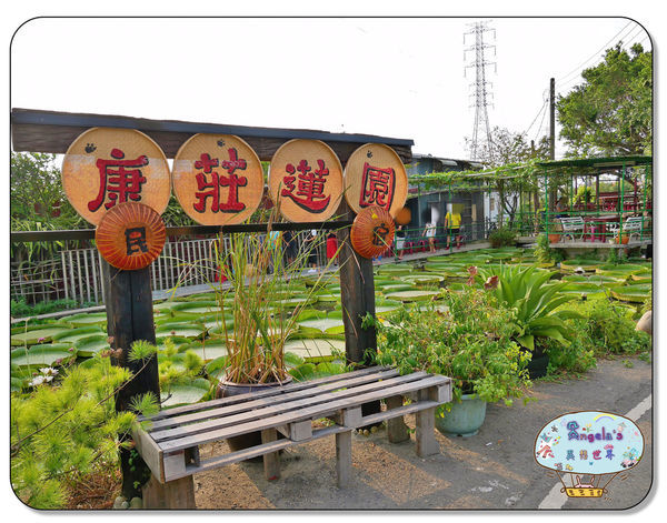 康莊農園(大王蓮)007.jpg