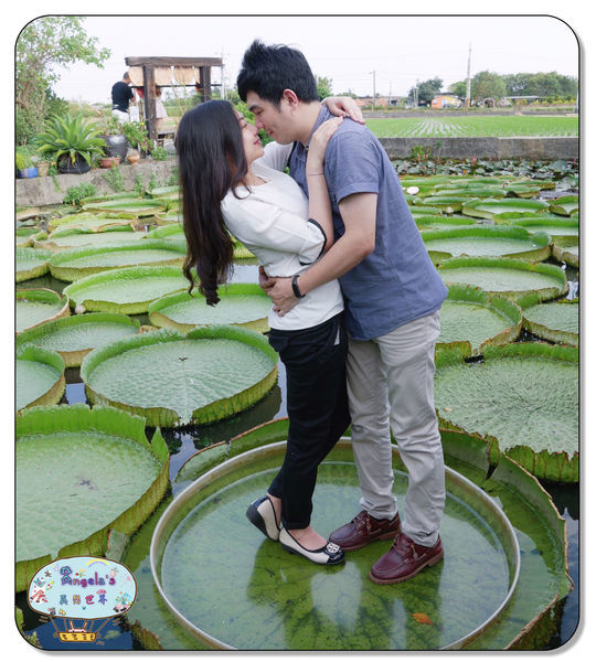康莊農園(大王蓮)040.jpg