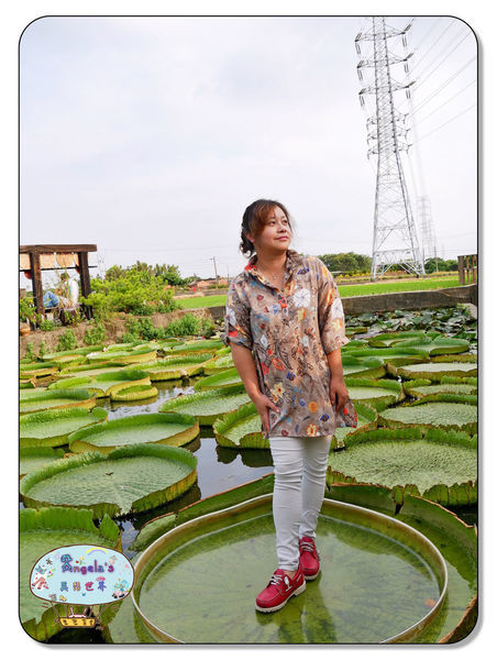 康莊農園(大王蓮)037.jpg