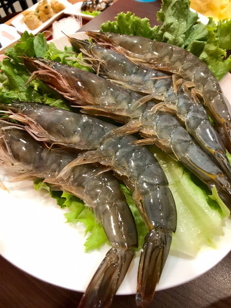 《台南.安平區》楊城火鍋｜主打海鮮的沙茶爐！顛覆傳統沙茶爐印象