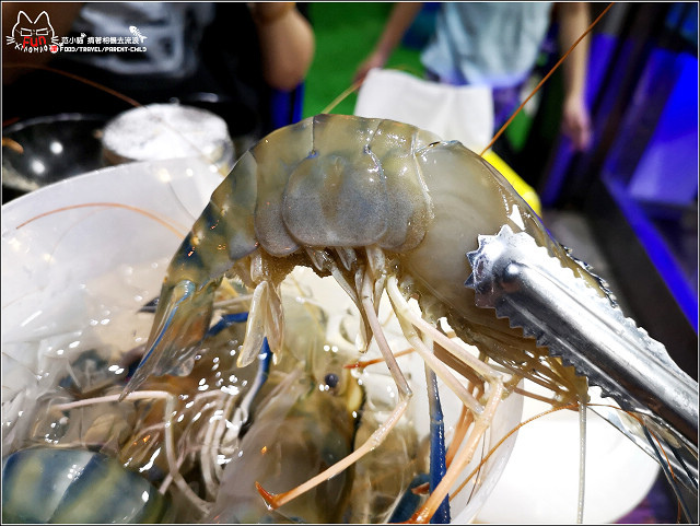 太蝦正宗泰國流水蝦 - 062.jpg 太蝦正宗泰國流水蝦 - 062.jpg