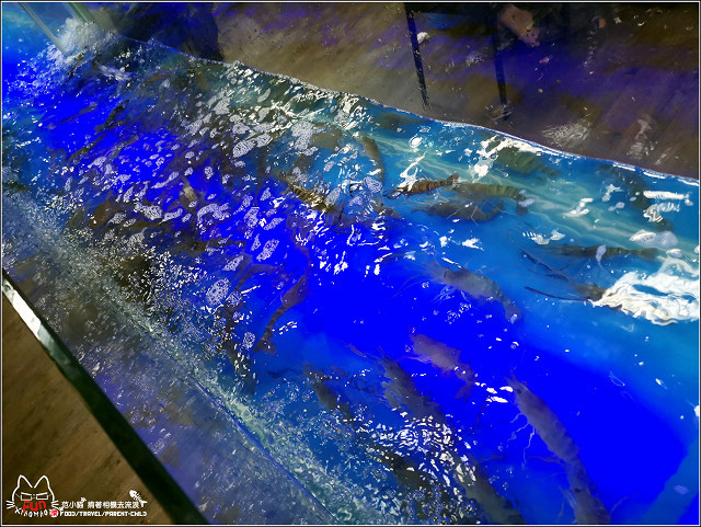 太蝦正宗泰國流水蝦 - 012.jpg 太蝦正宗泰國流水蝦 - 012.jpg