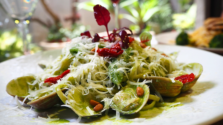 蝸牛,Snail蝸牛歐義餐廳,天母歐式料理,天母巷弄美食,天玉里美食,韓國瑜美食,天母國小,日僑學校,日僑學校美食,章魚哥,我不是他媽媽,天母圓環,天母市集