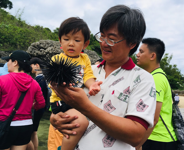 [小琉球住宿] 番仔厝民宿｜豐富人情味的小琉球包棟及套裝行程，美麗的人文風景深度之旅，感覺像是擁有在小琉球的另一個家！