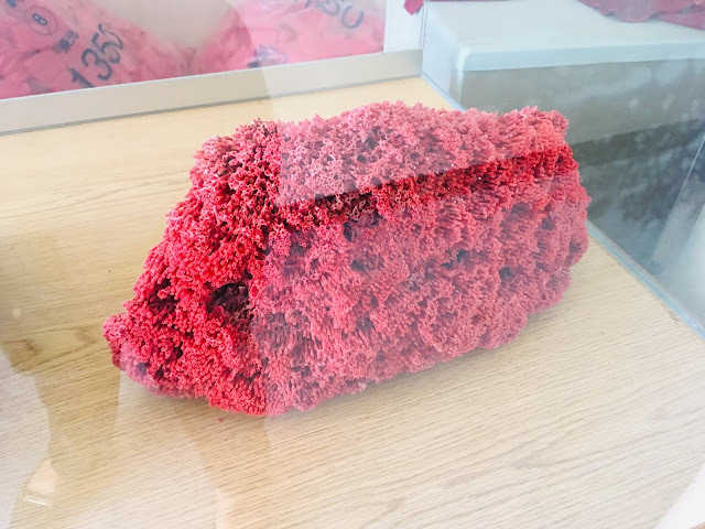 [小琉球住宿] 番仔厝民宿｜豐富人情味的小琉球包棟及套裝行程，美麗的人文風景深度之旅，感覺像是擁有在小琉球的另一個家！