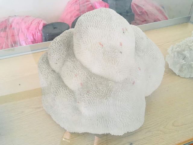 [小琉球住宿] 番仔厝民宿｜豐富人情味的小琉球包棟及套裝行程，美麗的人文風景深度之旅，感覺像是擁有在小琉球的另一個家！