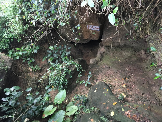 [小琉球住宿] 番仔厝民宿｜豐富人情味的小琉球包棟及套裝行程，美麗的人文風景深度之旅，感覺像是擁有在小琉球的另一個家！