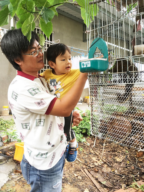 [小琉球住宿] 番仔厝民宿｜豐富人情味的小琉球包棟及套裝行程，美麗的人文風景深度之旅，感覺像是擁有在小琉球的另一個家！