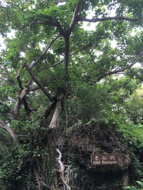 [小琉球住宿] 番仔厝民宿｜豐富人情味的小琉球包棟及套裝行程，美麗的人文風景深度之旅，感覺像是擁有在小琉球的另一個家！