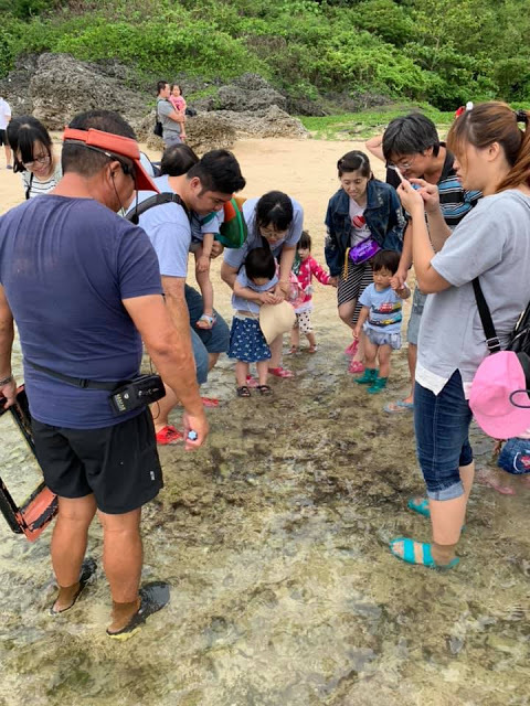 [小琉球住宿] 番仔厝民宿｜豐富人情味的小琉球包棟及套裝行程，美麗的人文風景深度之旅，感覺像是擁有在小琉球的另一個家！