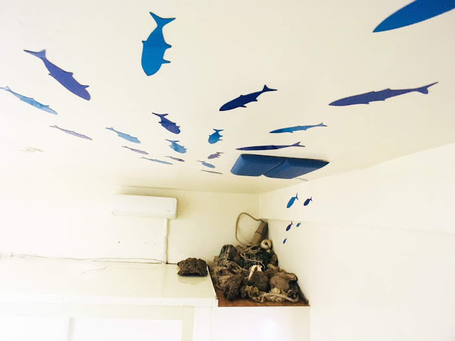 [小琉球住宿] 番仔厝民宿｜豐富人情味的小琉球包棟及套裝行程，美麗的人文風景深度之旅，感覺像是擁有在小琉球的另一個家！