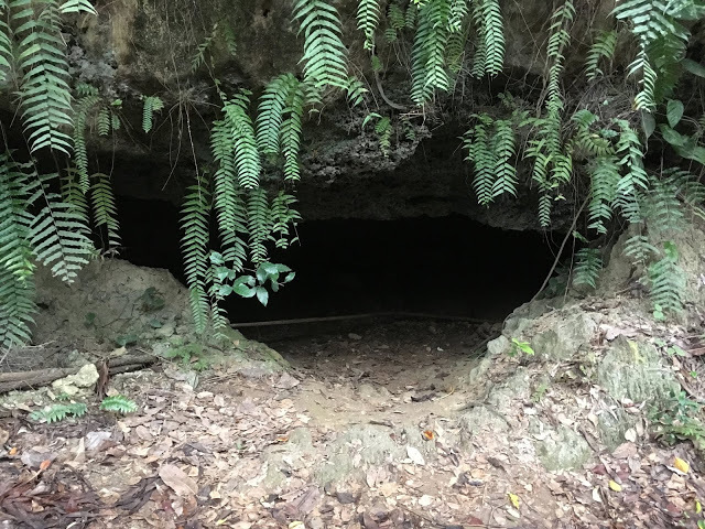 [小琉球住宿] 番仔厝民宿｜豐富人情味的小琉球包棟及套裝行程，美麗的人文風景深度之旅，感覺像是擁有在小琉球的另一個家！