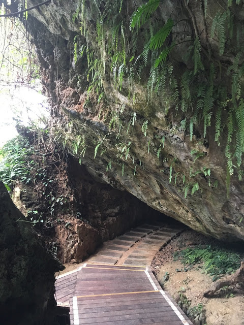 [小琉球住宿] 番仔厝民宿｜豐富人情味的小琉球包棟及套裝行程，美麗的人文風景深度之旅，感覺像是擁有在小琉球的另一個家！