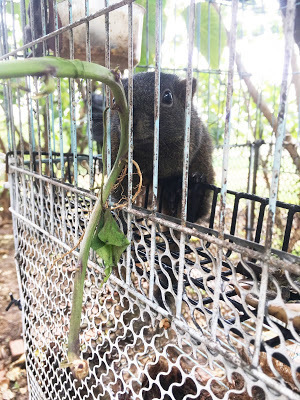[小琉球住宿] 番仔厝民宿｜豐富人情味的小琉球包棟及套裝行程，美麗的人文風景深度之旅，感覺像是擁有在小琉球的另一個家！