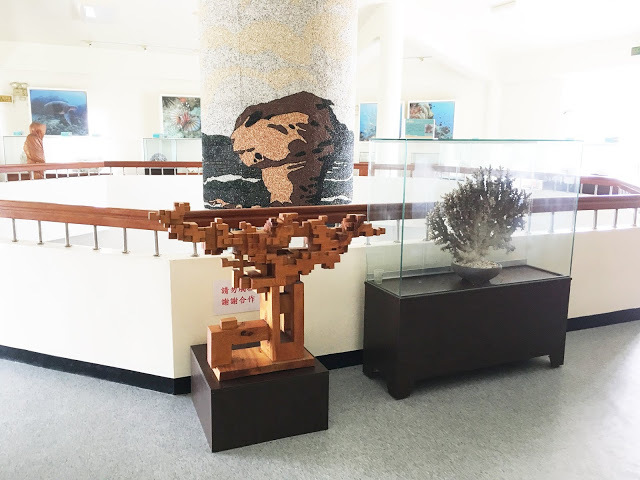 [小琉球住宿] 番仔厝民宿｜豐富人情味的小琉球包棟及套裝行程，美麗的人文風景深度之旅，感覺像是擁有在小琉球的另一個家！