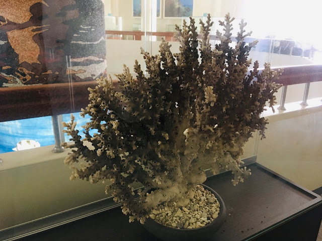 [小琉球住宿] 番仔厝民宿｜豐富人情味的小琉球包棟及套裝行程，美麗的人文風景深度之旅，感覺像是擁有在小琉球的另一個家！