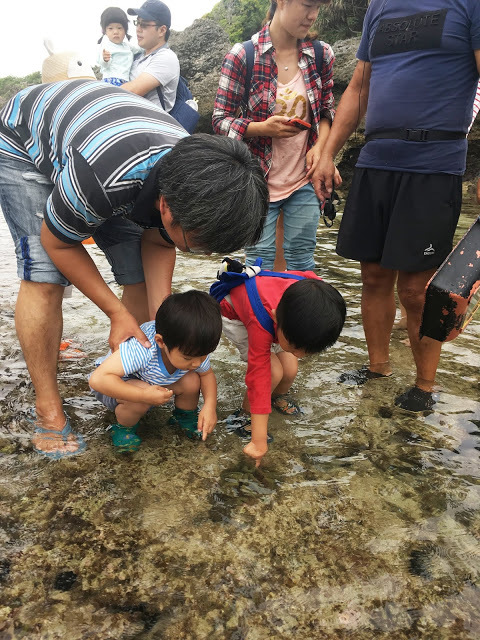 [小琉球住宿] 番仔厝民宿｜豐富人情味的小琉球包棟及套裝行程，美麗的人文風景深度之旅，感覺像是擁有在小琉球的另一個家！