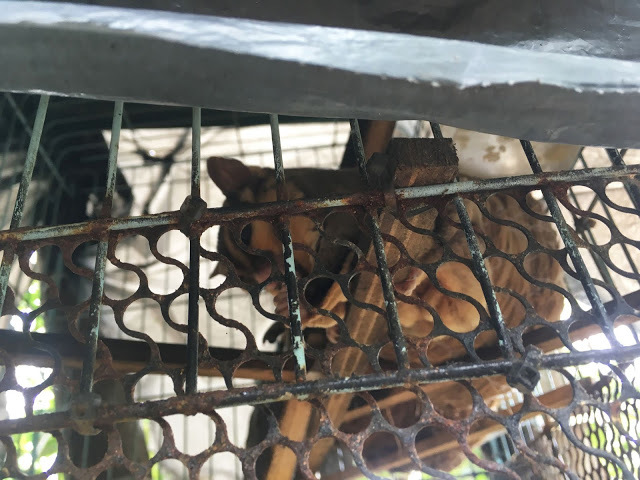 [小琉球住宿] 番仔厝民宿｜豐富人情味的小琉球包棟及套裝行程，美麗的人文風景深度之旅，感覺像是擁有在小琉球的另一個家！