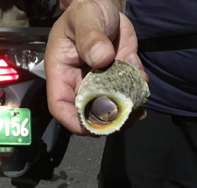 [小琉球住宿] 番仔厝民宿｜豐富人情味的小琉球包棟及套裝行程，美麗的人文風景深度之旅，感覺像是擁有在小琉球的另一個家！