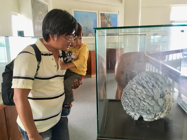 [小琉球住宿] 番仔厝民宿｜豐富人情味的小琉球包棟及套裝行程，美麗的人文風景深度之旅，感覺像是擁有在小琉球的另一個家！