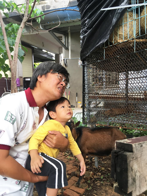 [小琉球住宿] 番仔厝民宿｜豐富人情味的小琉球包棟及套裝行程，美麗的人文風景深度之旅，感覺像是擁有在小琉球的另一個家！