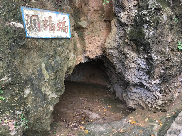 [小琉球住宿] 番仔厝民宿｜豐富人情味的小琉球包棟及套裝行程，美麗的人文風景深度之旅，感覺像是擁有在小琉球的另一個家！