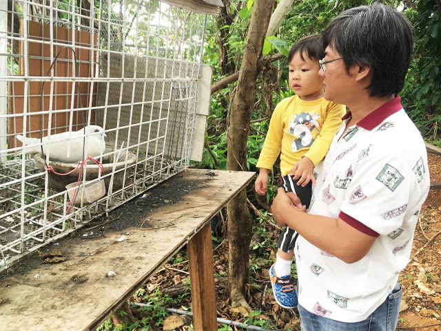 [小琉球住宿] 番仔厝民宿｜豐富人情味的小琉球包棟及套裝行程，美麗的人文風景深度之旅，感覺像是擁有在小琉球的另一個家！