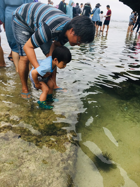 [小琉球住宿] 番仔厝民宿｜豐富人情味的小琉球包棟及套裝行程，美麗的人文風景深度之旅，感覺像是擁有在小琉球的另一個家！