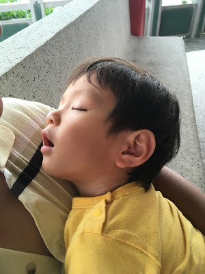 [小琉球住宿] 番仔厝民宿｜豐富人情味的小琉球包棟及套裝行程，美麗的人文風景深度之旅，感覺像是擁有在小琉球的另一個家！