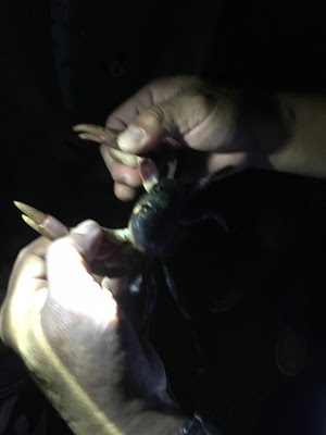 [小琉球住宿] 番仔厝民宿｜豐富人情味的小琉球包棟及套裝行程，美麗的人文風景深度之旅，感覺像是擁有在小琉球的另一個家！